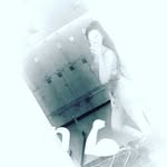 parisa-ebadi - @parii7466 - Instagram