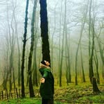 parisa_ghorbani - @parisa_ghorbani7883 - Instagram