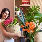 Pari - @parisa__razavi - Instagram