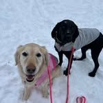 Parker Cannon + Presley Marie 👩🏻‍🤝‍👩🏼🐾 - @yingyang_twinsss - Instagram