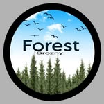 Форест Парк - @forest_park95 - Instagram