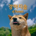 강아지숲 - @d.forest_park - Instagram