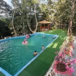 Kawlni Forest Park - @kawlni_forest_park - Instagram
