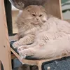 Jisu Park - @jisu.park - TikTok