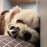 Park minwoo - @parkminuu - Instagram