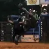 parkerrobinson - @p_robinson_93 - TikTok