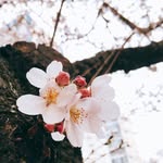 성원_걸신(베가남편, 쩡이아빠, 토리아빠) - @park_sungwon1229 - Instagram