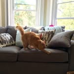 Parker Andersen - @parkerdoodledandy - Instagram