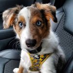 Parker Andrews - @the_parker_adventure - Instagram