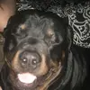 Parker Andrews  - @parker_32_andrews - TikTok