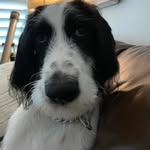 Parker Baumann - @parkerb_is_here - Instagram