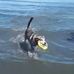 Parker Beach - Facebook