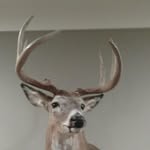 Parker - @parker_beach_07 - Instagram