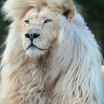 Parker Benjamin - @benjaminparker330 - Instagram