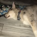 Parker Benjamin Allman - @parker_benjamin_allman - Instagram
