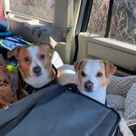 Denise Loggins Parker Bonner - @duckretired - Instagram