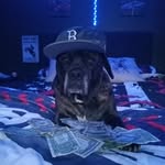 Parker Bourque - @parkerbourque7 - Instagram