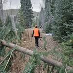 Parker Boyle - @parker101009 - Instagram