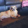 Parker Brooks - @parker.brooks37 - TikTok