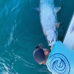 Parker Buckingham - @parker.buckingham - Instagram