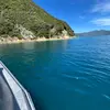 ️Parker - @parker.buckenham001 - TikTok