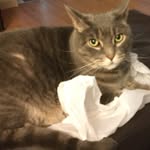 Parker Burt - @parkerburt31 - Instagram