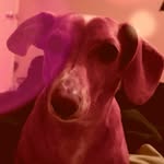 Parker Burt-Lynn - @weenie.overlord_18 - Instagram