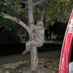 Parker Carlson - @not_parker121 - Instagram