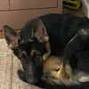 parkercarson6 - @besties.for.life1245 - TikTok