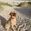 parkercooper1 - @parkercooper1 - TikTok