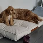 parker❤️cooper💙 - @par.kercoope.r - Instagram