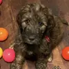 parkerdailey - @parker_dailey - TikTok
