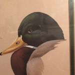 Parker Davidson - @parkerdavidson9 - Instagram