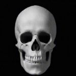parker davidson - @parker.davidson14 - Instagram