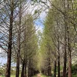 Parker - @parkerdodd.o.3 - Instagram