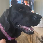 Parker Doherty - @_parker_doherty_ - Instagram