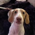 Parker Dotson - Facebook