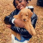 Parker Levi Dotson - @parkerlevidotson_doodle - Instagram