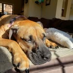 Parker Dunn - @dunn.parker - Instagram