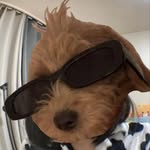 Parker Eaves - @parker.eaves - Instagram