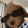 parker.eaves - @parker.eaves - TikTok