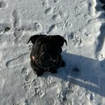 Parker Epp - @parker_epp - Instagram