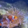 Parker Fish Farm - @austindparker45 - TikTok