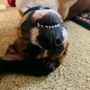 Parker - @parkerfraggle - TikTok