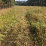 Parker Freeman - @mama_milkman - Instagram