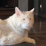 Parker Grantski - @parkergrantskiartnshit - Instagram