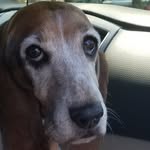 Parker Groce - @moomar456 - Instagram