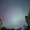 parkergrubbs1 - @doggy.world58 - TikTok