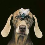 Carrie Gundersen - Facebook