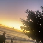 Parker hammer - @parkerhammer8 - Instagram